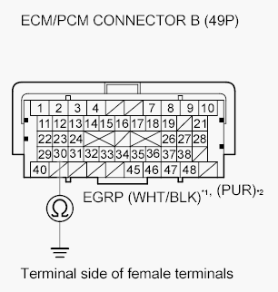 G05953219