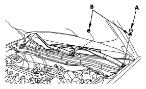 G05995069