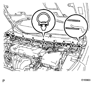 G06038561