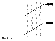 G06064923