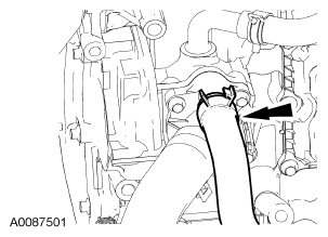 G06096309