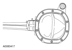 G06125448