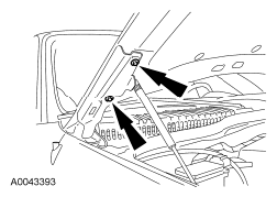 G06126496