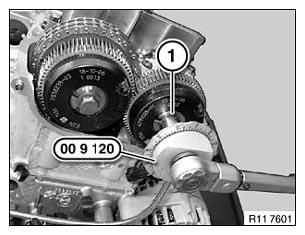 G06203261