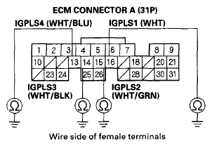G06231664