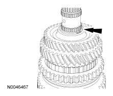 G06275981