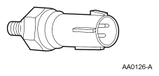 G06290519