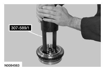 G06377259