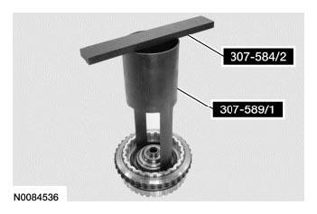 G06377262
