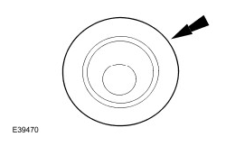 G06388439