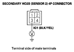 G06429255