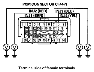 G06429261
