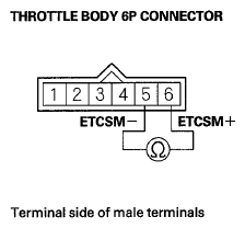 G06429424