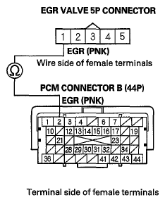 G06429595