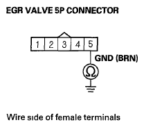 G06429596