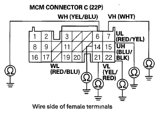 G06429845