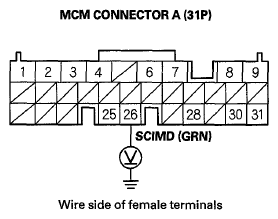 G06429919