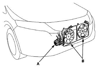 G06431255