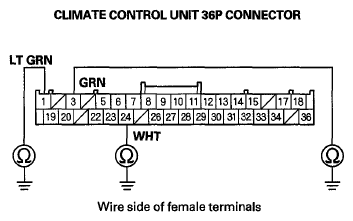 G06431313