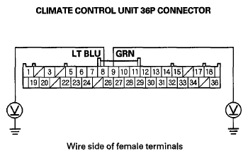 G06431317