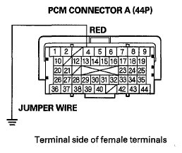 G06431325