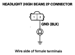 G06431566