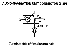 G06431813