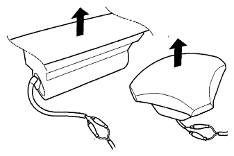 G06432295