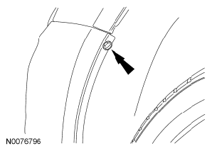 G06438011