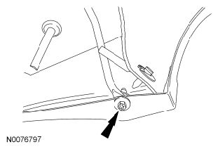G06438013