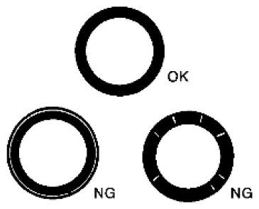 G06441056