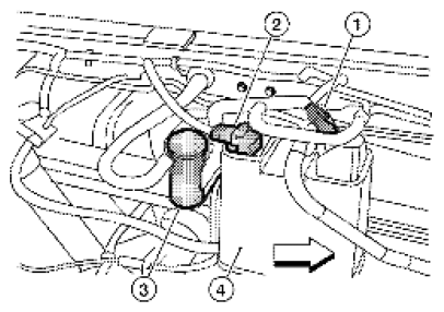G06444206