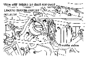 G06444335