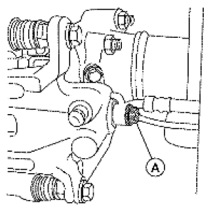 G06445667
