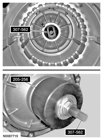 G06456616