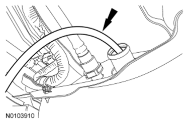 G06503441