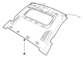 G06513516
