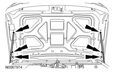 G06774343