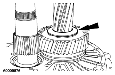 G06778831