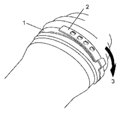 G06868310