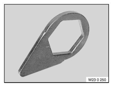 G06876100