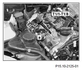 G06878113