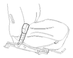 G06882598