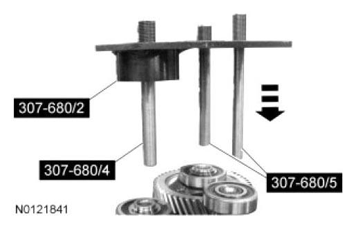 G06939556