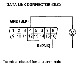 G06950218