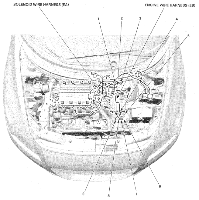 G06953804