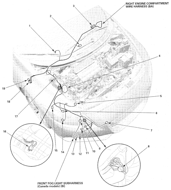 G06953805
