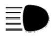 G07319117