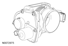G07431218