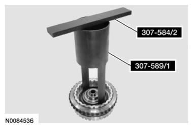 G07444381